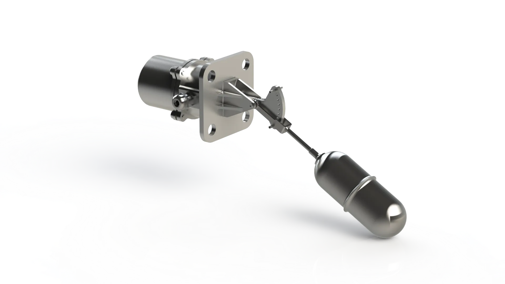 Portfolio Item